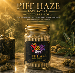 0.7G Pre-Roll: PIFF Haze (100% Sativa) 40 PACK JAR