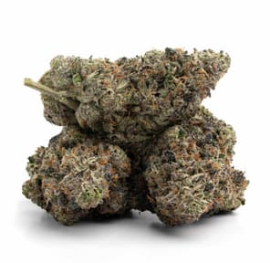 OG Papi