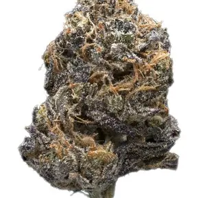 Grape Skunk -- Trusty