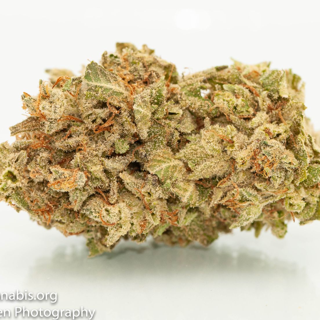 Durban Poison