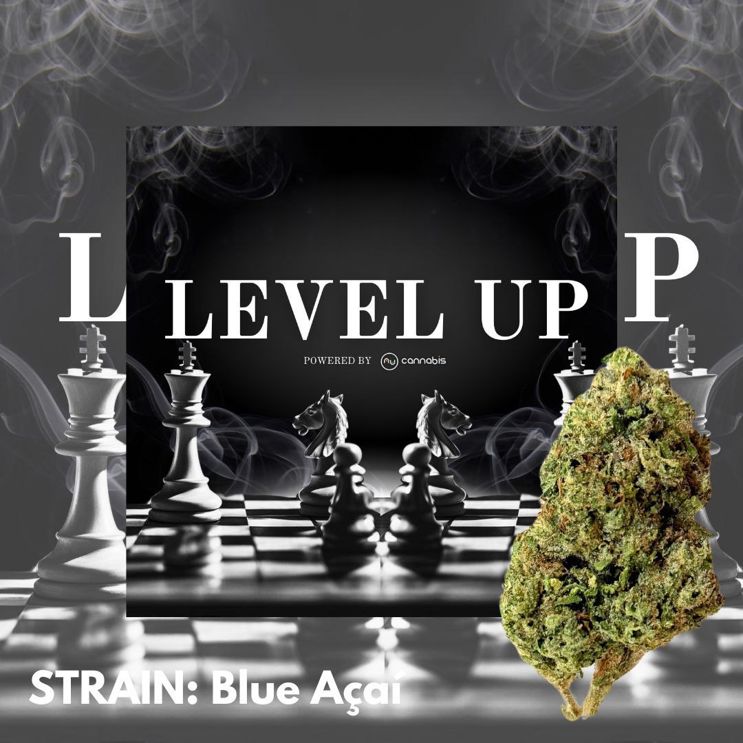 Level Up - Blue Acai 14G - PREMIUM FLOWERS