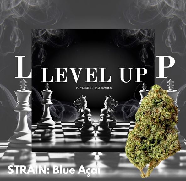 Level Up - Blue Acai 14G - PREMIUM FLOWERS