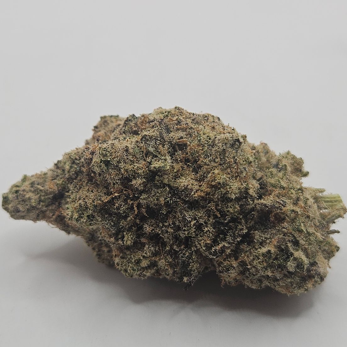 *Indoor - Mac 4 - 23% - H