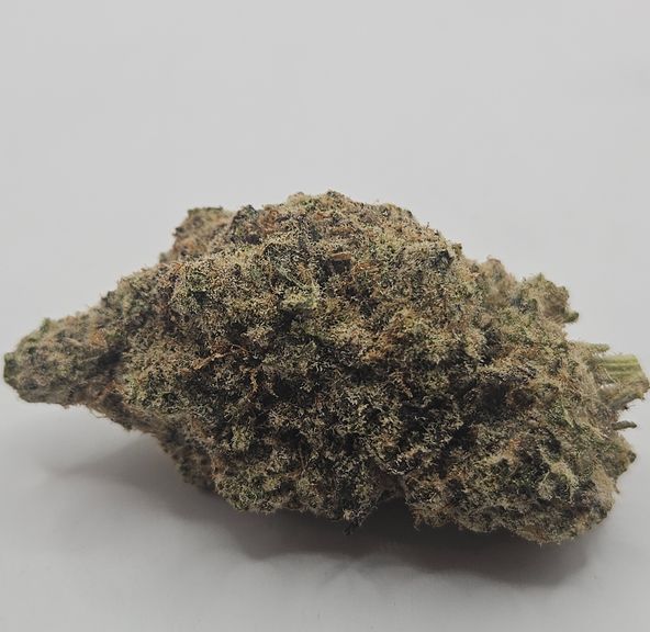 *Indoor - Mac 4 - 23% - H