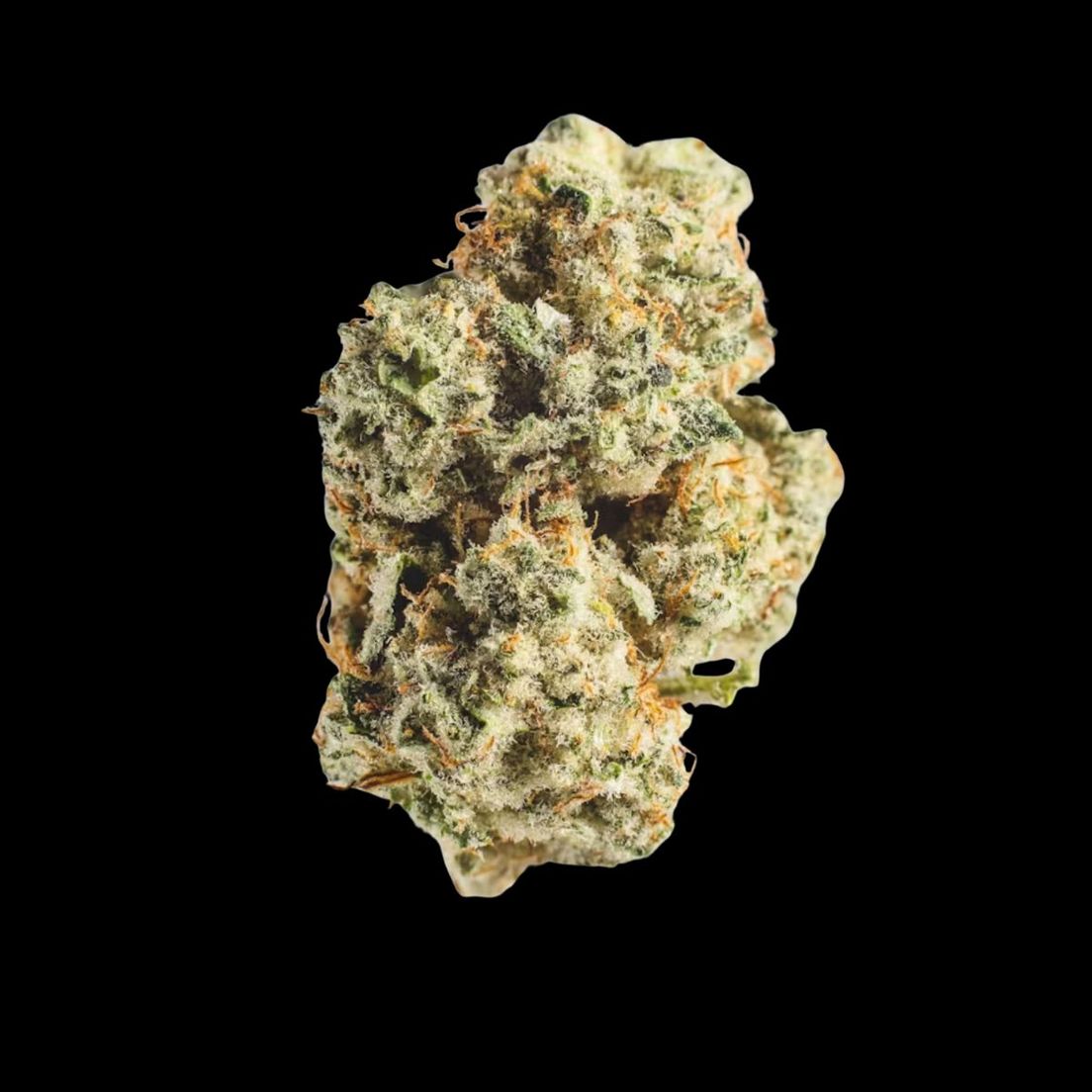 HUMBOLDT GROWERS NETWORK - VOODOO 28G INDICA