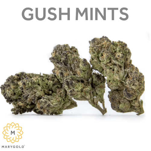 Gush Mints 3.5g