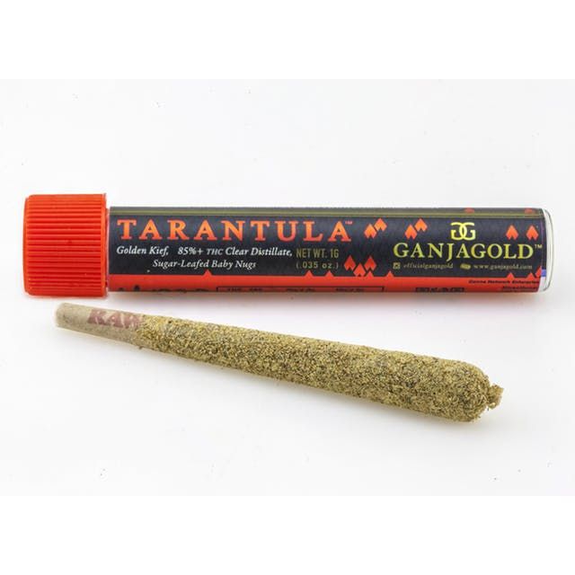 1.2g Sativa (Red) Tarantula Pre Roll - GANJA GOLD