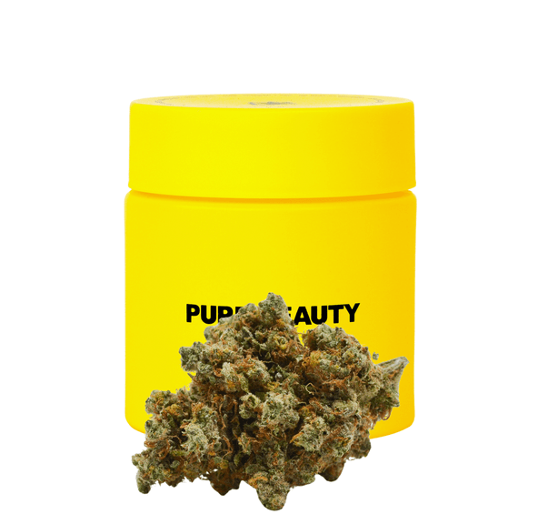 Pure Beauty | Flower | 3.5g | Super Silver Haze