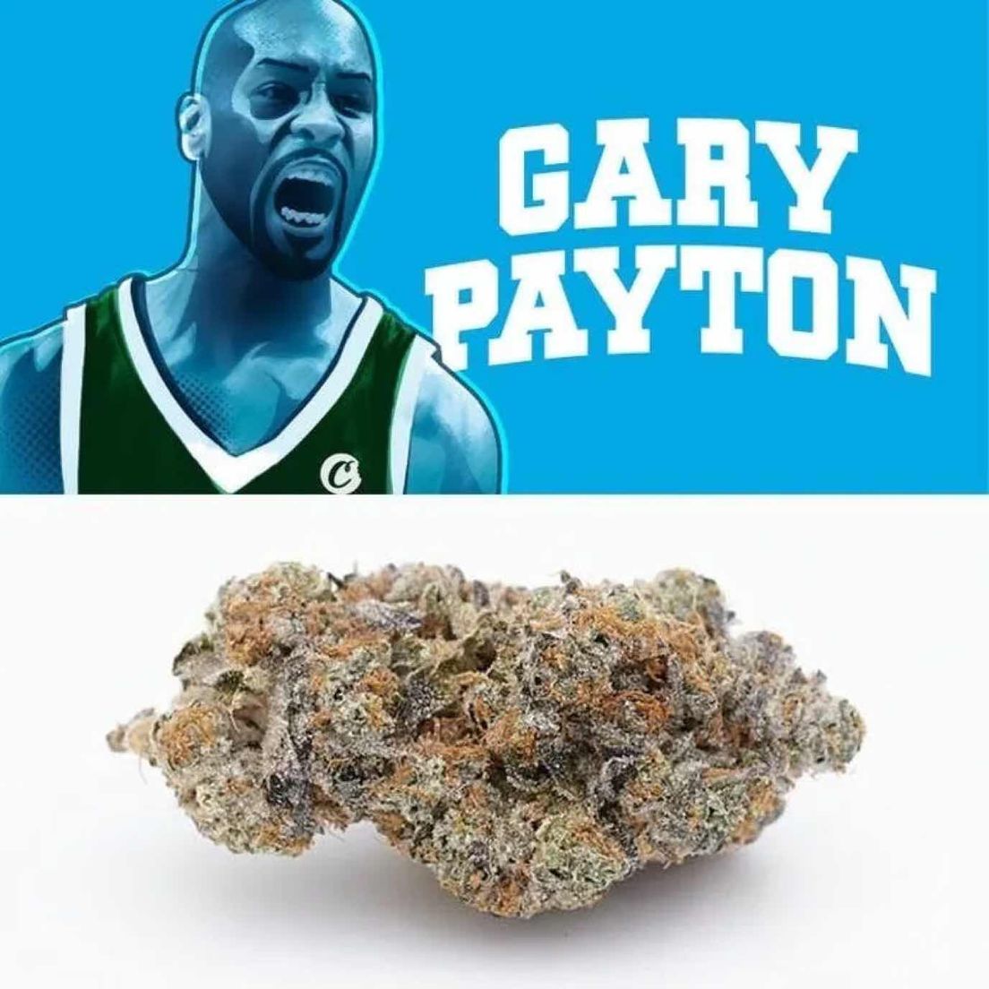 Gary Payton