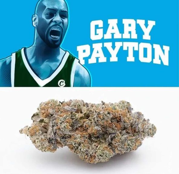 Gary Payton