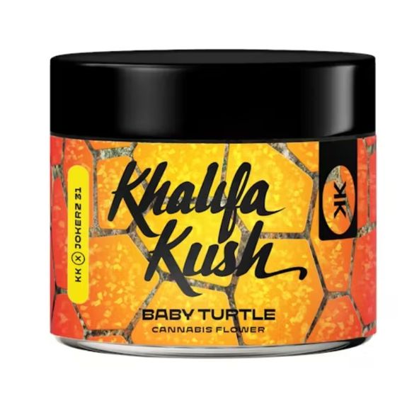 Baby Turtle