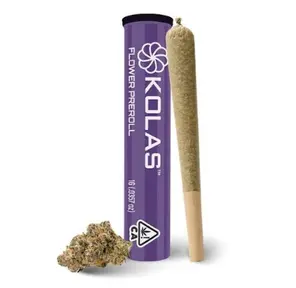 LA Purple Push Pop