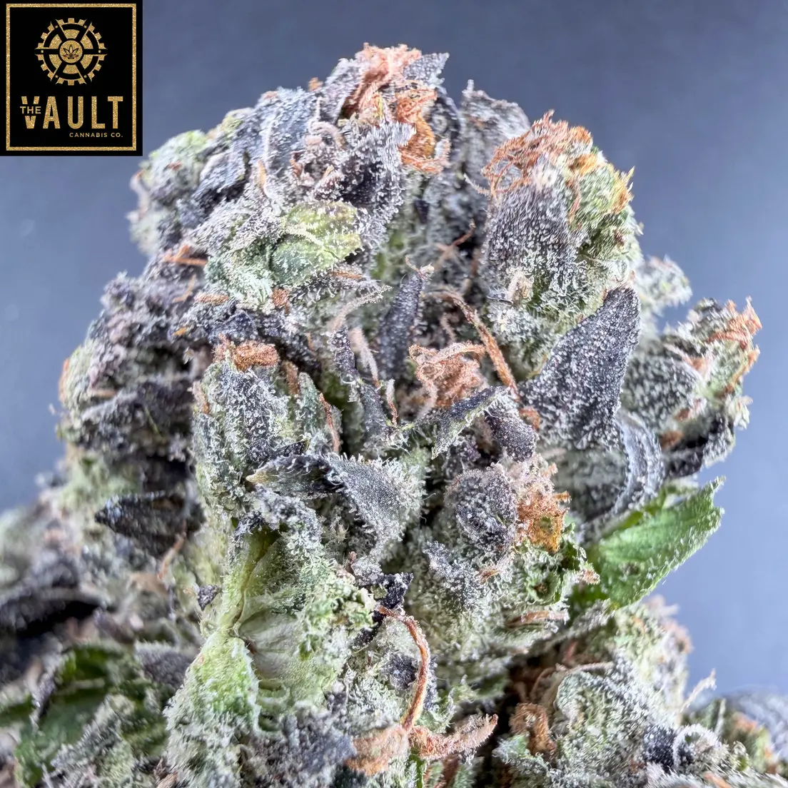 7g - BLUE DEATH (AAAA+)