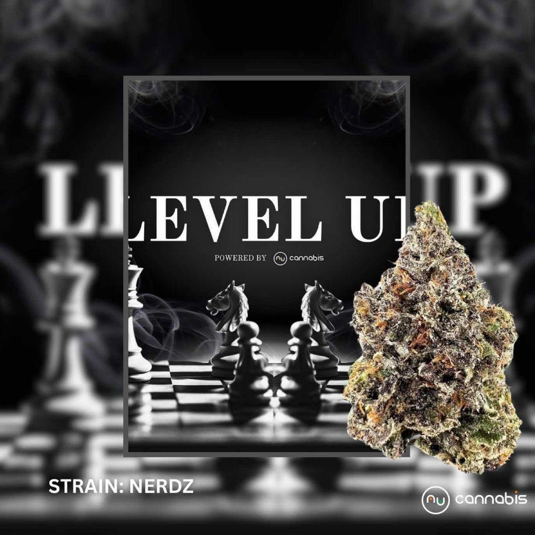 Level Up - NERDZ 14G - PREMIUM FLOWERS