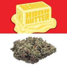 Cookies | Berniehana Butter | 7g | I