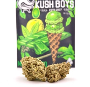 Kush Boys - Matchalato (27.11%/Hybrid - Sativa Dominant) - 3.5 g