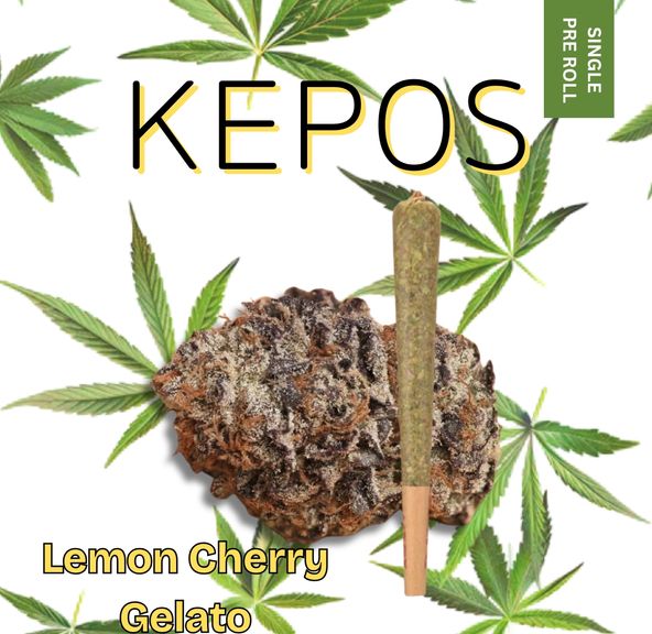 Kepos - Lemon Cherry Gelato 1g - PRE ROLL