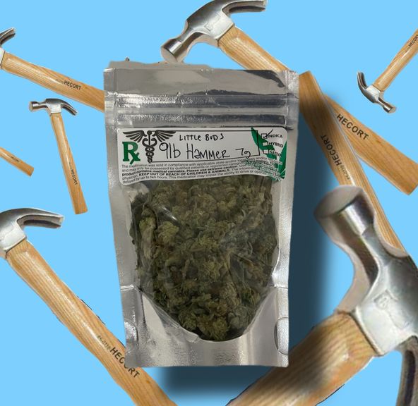 9 LB Hammer Little Buds - Quarter Ounce