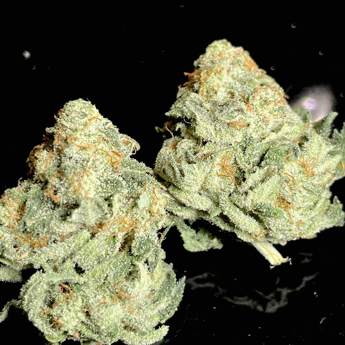 ICE CREAM COOKIES **$150 OZ SPECIAL**