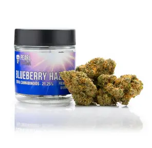 **blueberry Haze