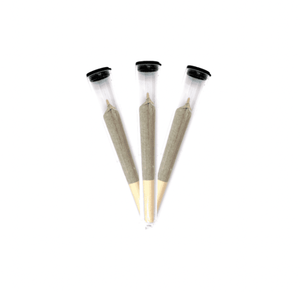 0.8g White Runtz Indica Pre Roll by KushKraft