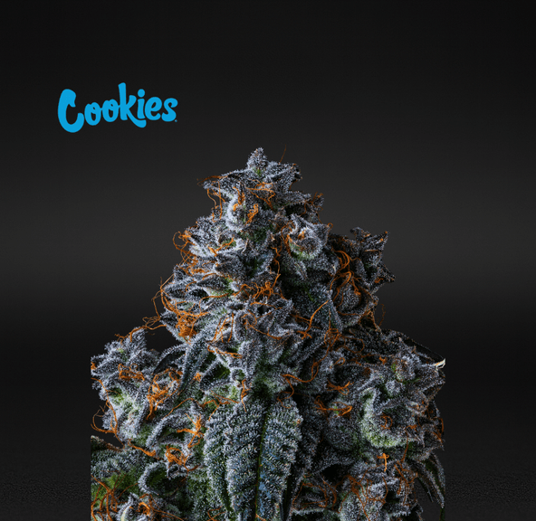 Cookies (Cultivated by DC's Finest) | Cereal Milk - Flower | 3.5g | Hybrid