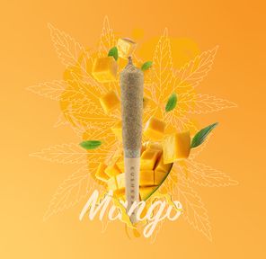 1 x 0.5g Infused Sticky Banger Pre-Roll Sativa Mango by KushKraft
