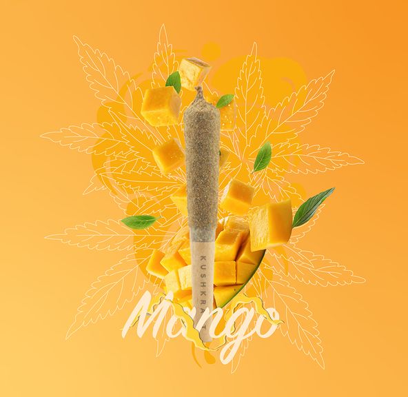 1 x 0.5g Infused Sticky Banger Pre-Roll Sativa Mango by KushKraft