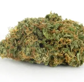 Amnesia Haze Flower