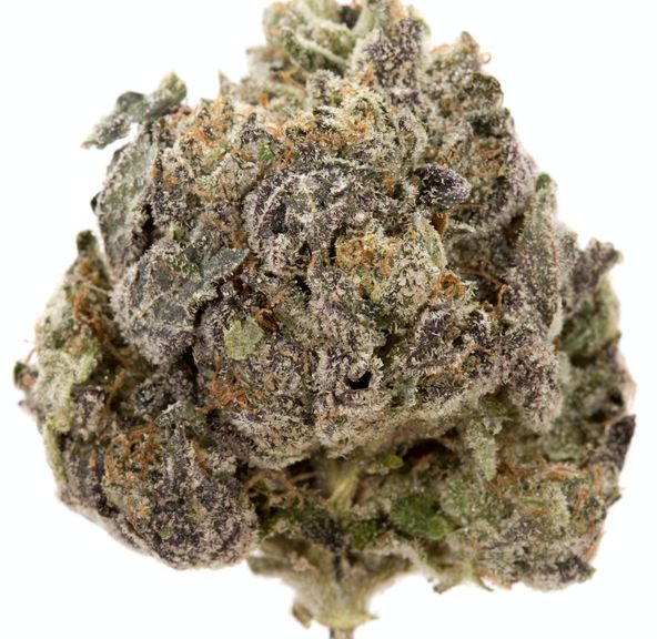 Acai Berries - Yellow Sticker