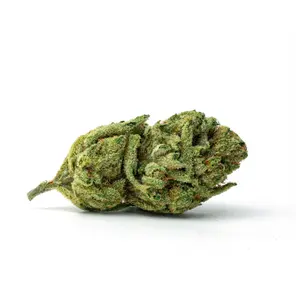 Glass House Farms Super Silver Haze (S) 28g Bag