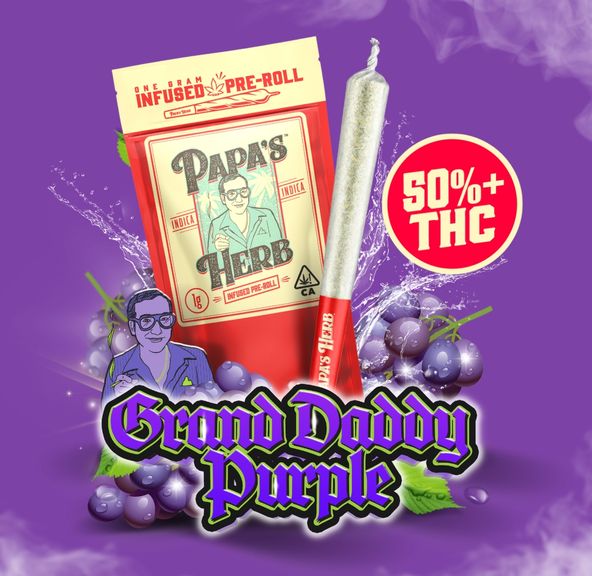 1g Grand Daddy Purp INFUSED Pre Roll - PAPAS HERB