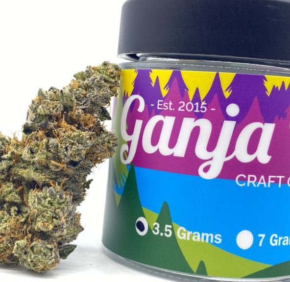 Apple Fritter - Ganja Babes -