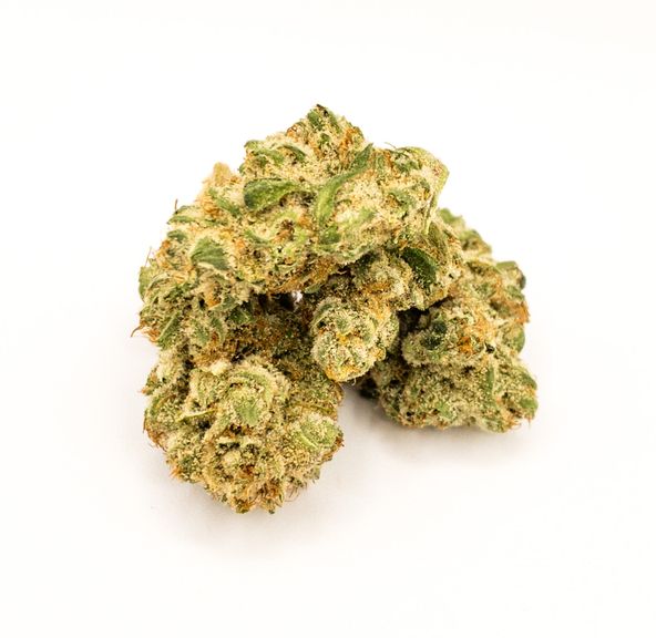 Alaskan Orange Tree 7g (Organic) (@sweetdirtmaine)