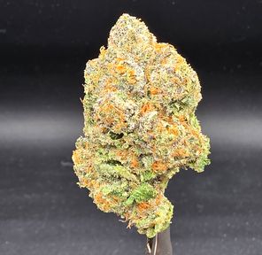 Banana Cooler - Faded Cannabis Company - Tier 1