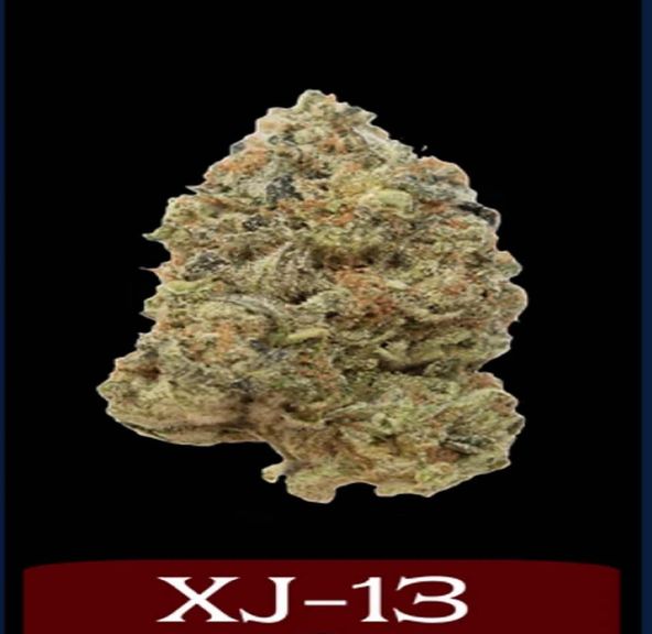 Northern Harvest - XJ-13 3.5G - FLOWER