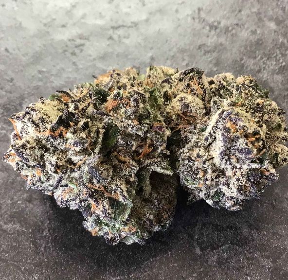 Gelato #33