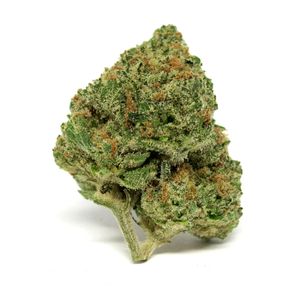 Blueberry Cream by Lowell Farms