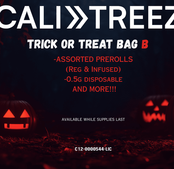 * HALLOWEEN TRICK OR TREAT MYSTERY BAG B