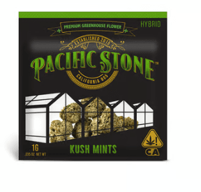 PACIFIC STONE KUSH MINTS 1G POUCH HYBRID