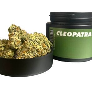 B. Planta Cannabis Company 3.5g Exotic Flower - Quality 9.5/10 - Cleopatra