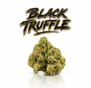 BLACK TRUFFLE - 14G | PREMIUM FLOWER | HYBRID