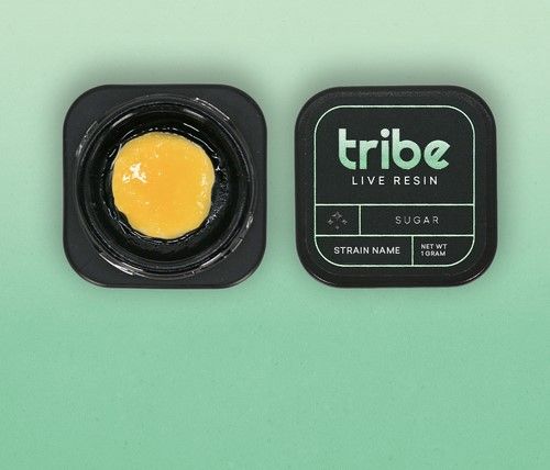 TRIBE BLUEBERRY MUFFIN LIVE SUGAR 1G
