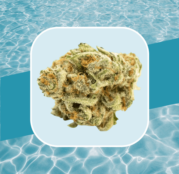 Citradelic Sunset 1g Flower (@wildfire_labs)