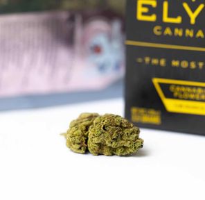 PR. Cake Frosting 3.5g - ELYON