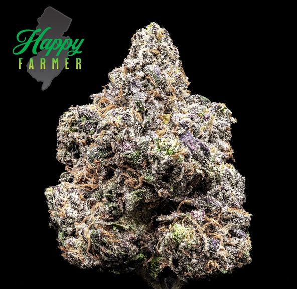 The Happy Farmer | Red Velvet Gary | 3.5g Flower