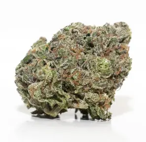 Bloom Farms - Mints
