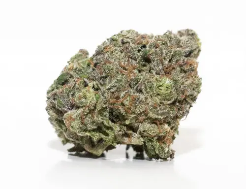 Bloom Farms - Sugar Mints 3.5g