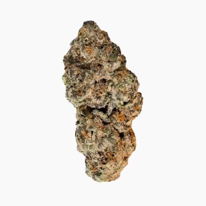 Pink Cherry Gelato flower