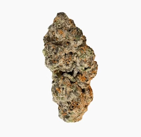 Pink Cherry Gelato flower